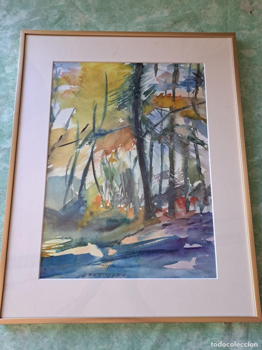 Arte: Bonita acuarela bosque abstracto.