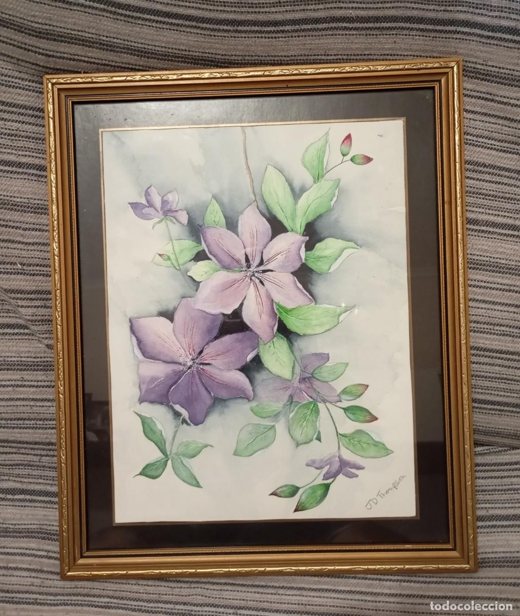 Arte: ARTE, PINTURA A LA ACUARELA DE FLORES CLEM&Aacute;TIDE DE COLOR PURPURA FIRMADA POR J.D THOMPSON,ENMARCADA