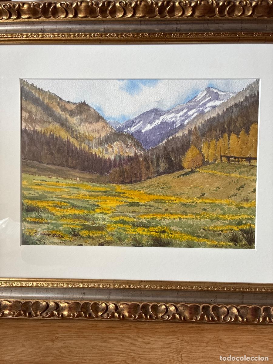 Arte: Paisatge vall d&rsquo;ordino