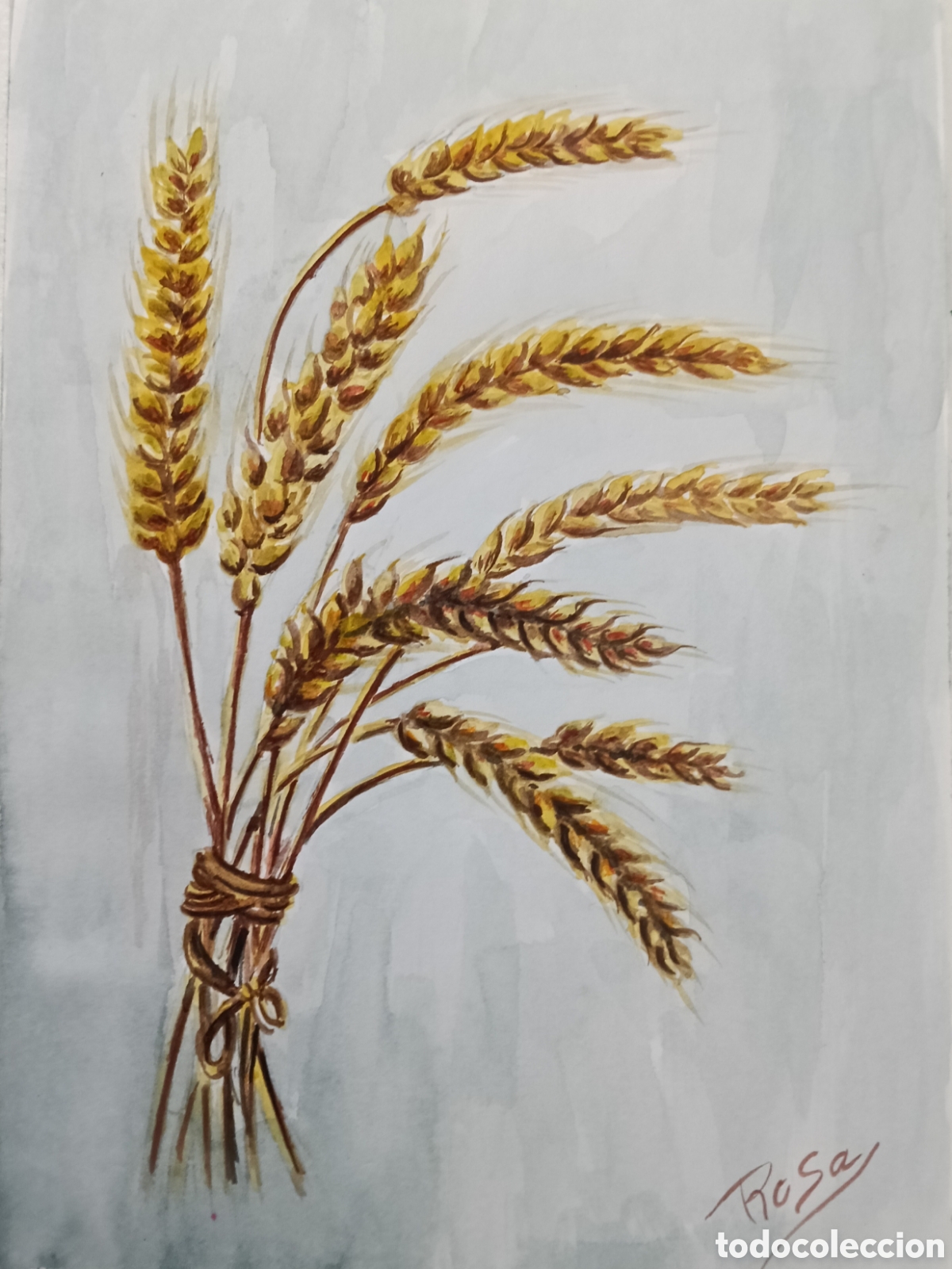 Arte: Acuarela. Espigas de trigo