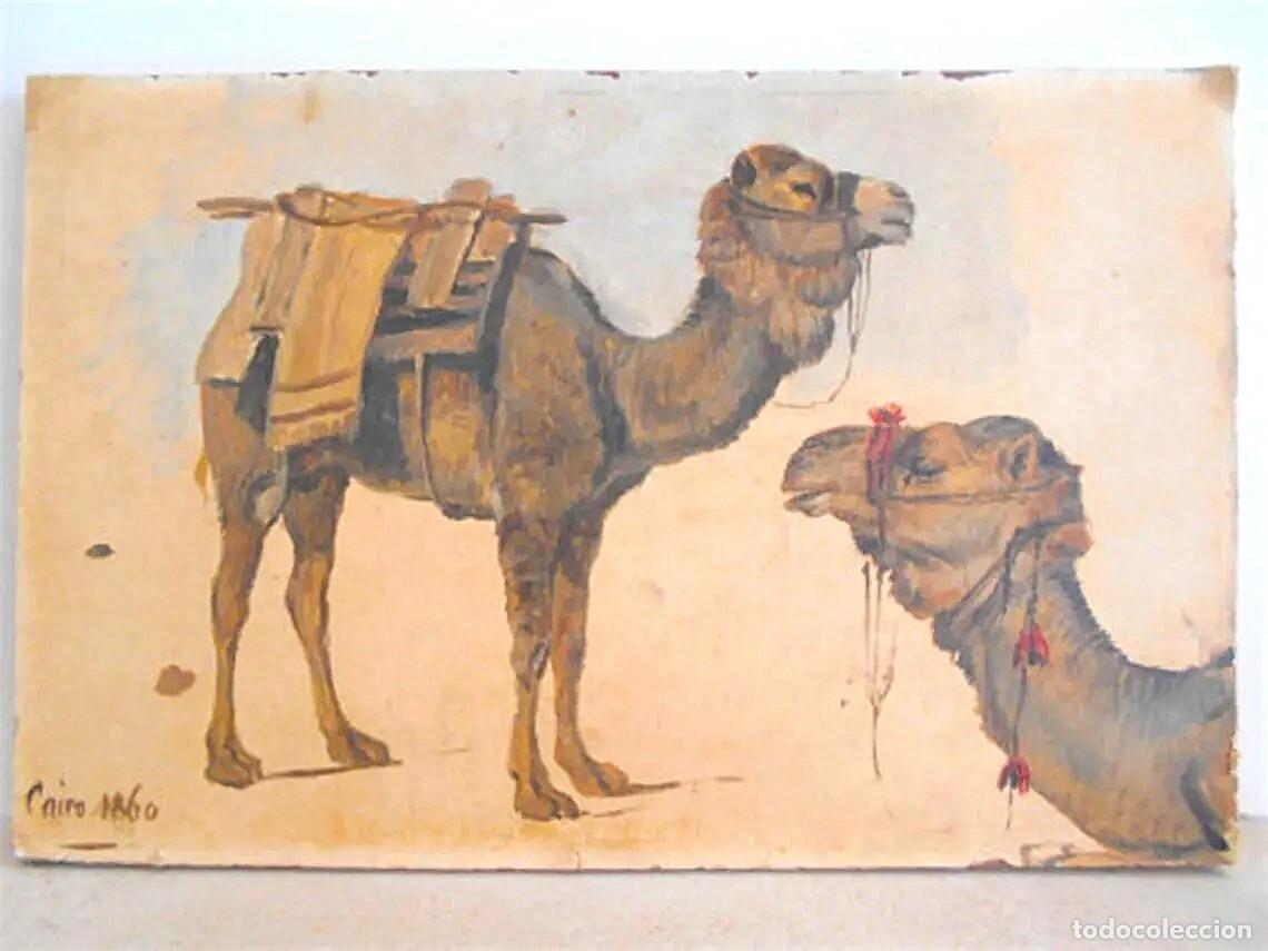 Arte: Orientalista, firmado y fechado en Cairo, estudio de un par de camellos.