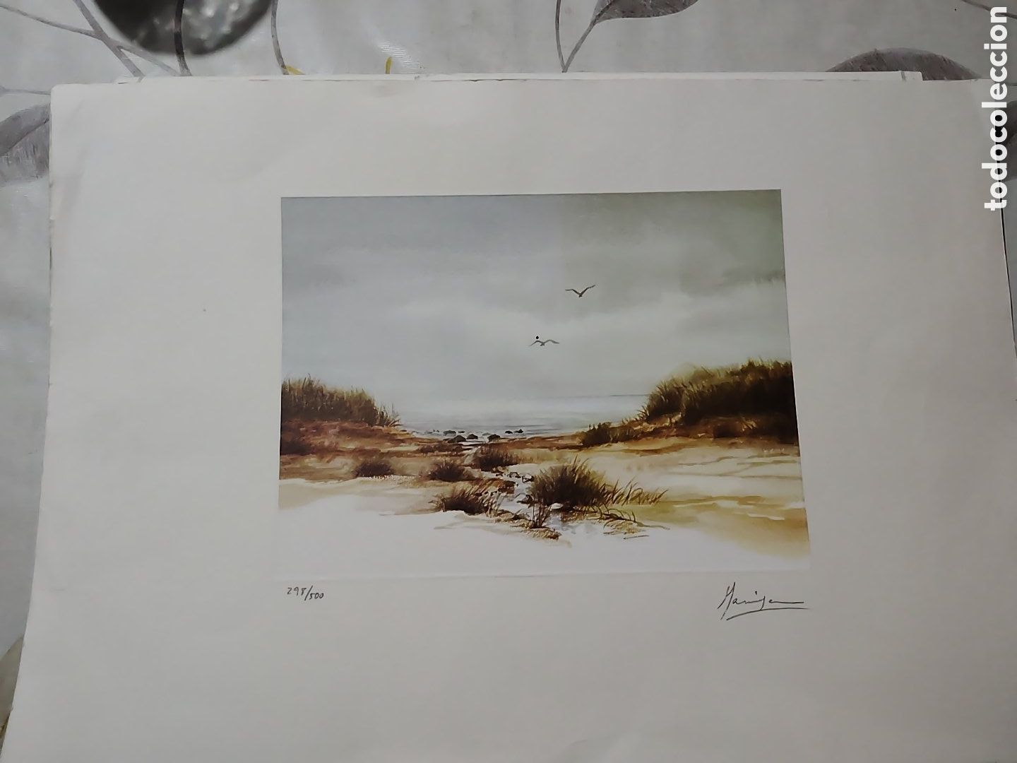 Arte: Acuarela numerada y firmada