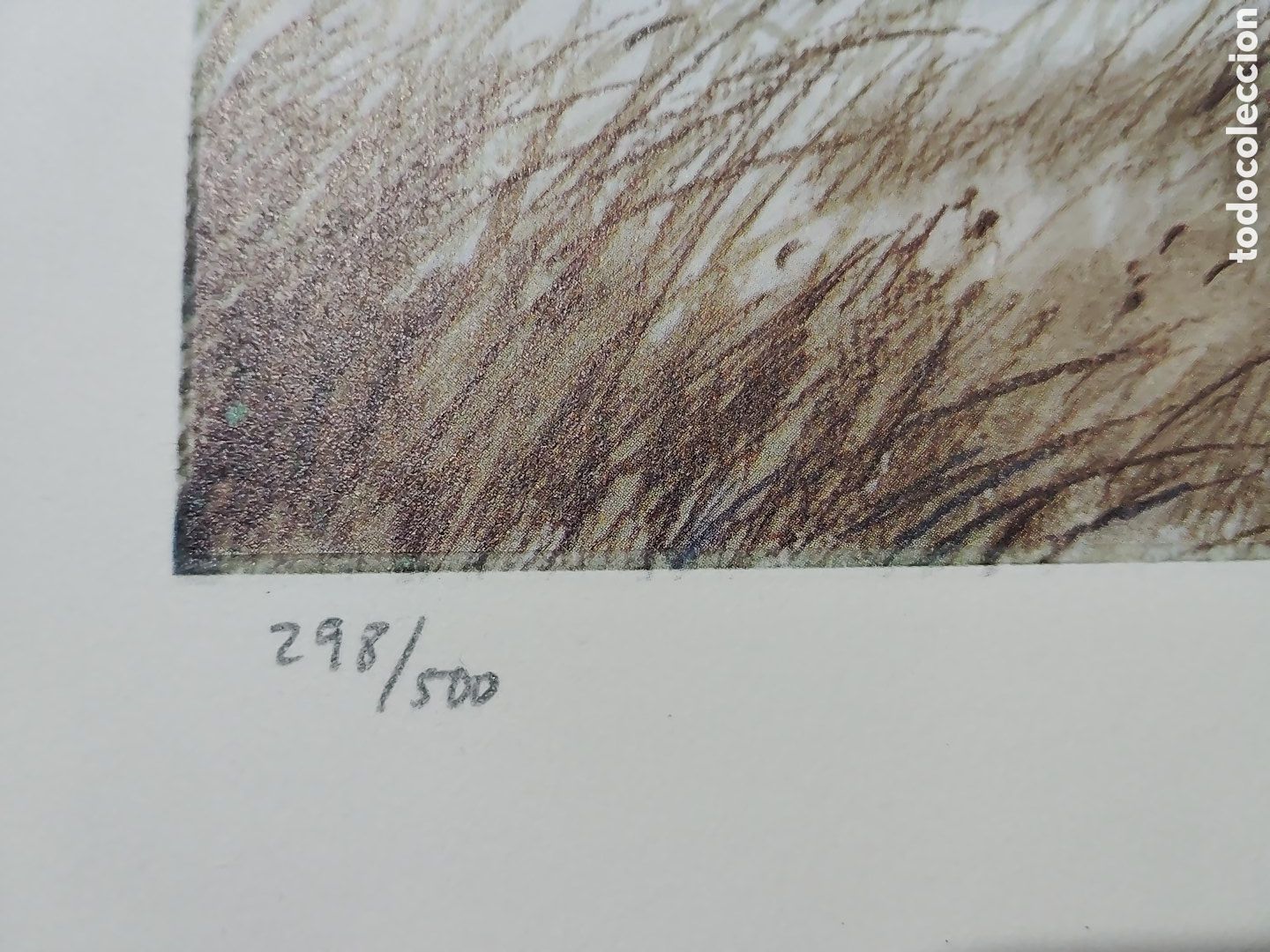 Arte: Acuarela numerada y firmada - Foto 2