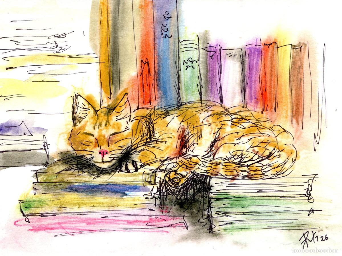Arte: Acuarela de gato con libros contempor&aacute;nea, original firmada. Ruth Gonz&aacute;lez 1977.