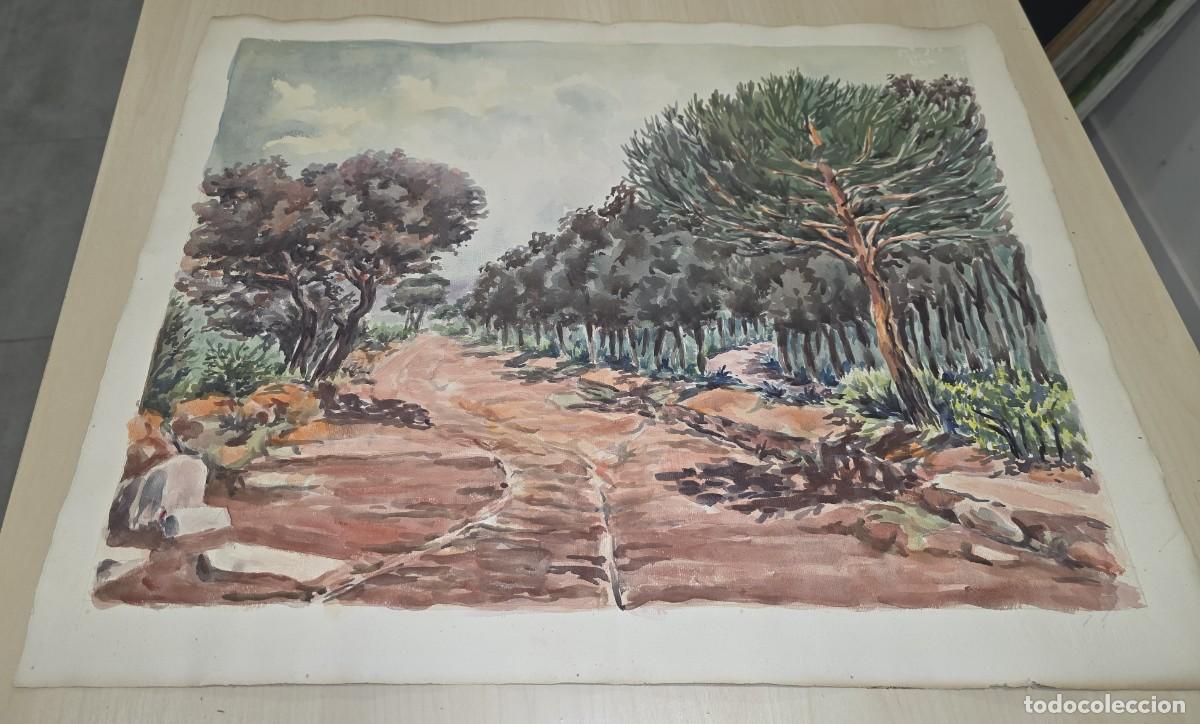 Arte: Acuarela (paisaje ) formato grande sin firmar, atribuible a Puig Segarra. A&ntilde;os 50 del s. XX