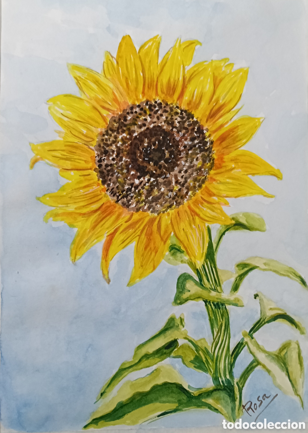 Arte: Acuarela. Girasol sobre Papel de 300. Gr.