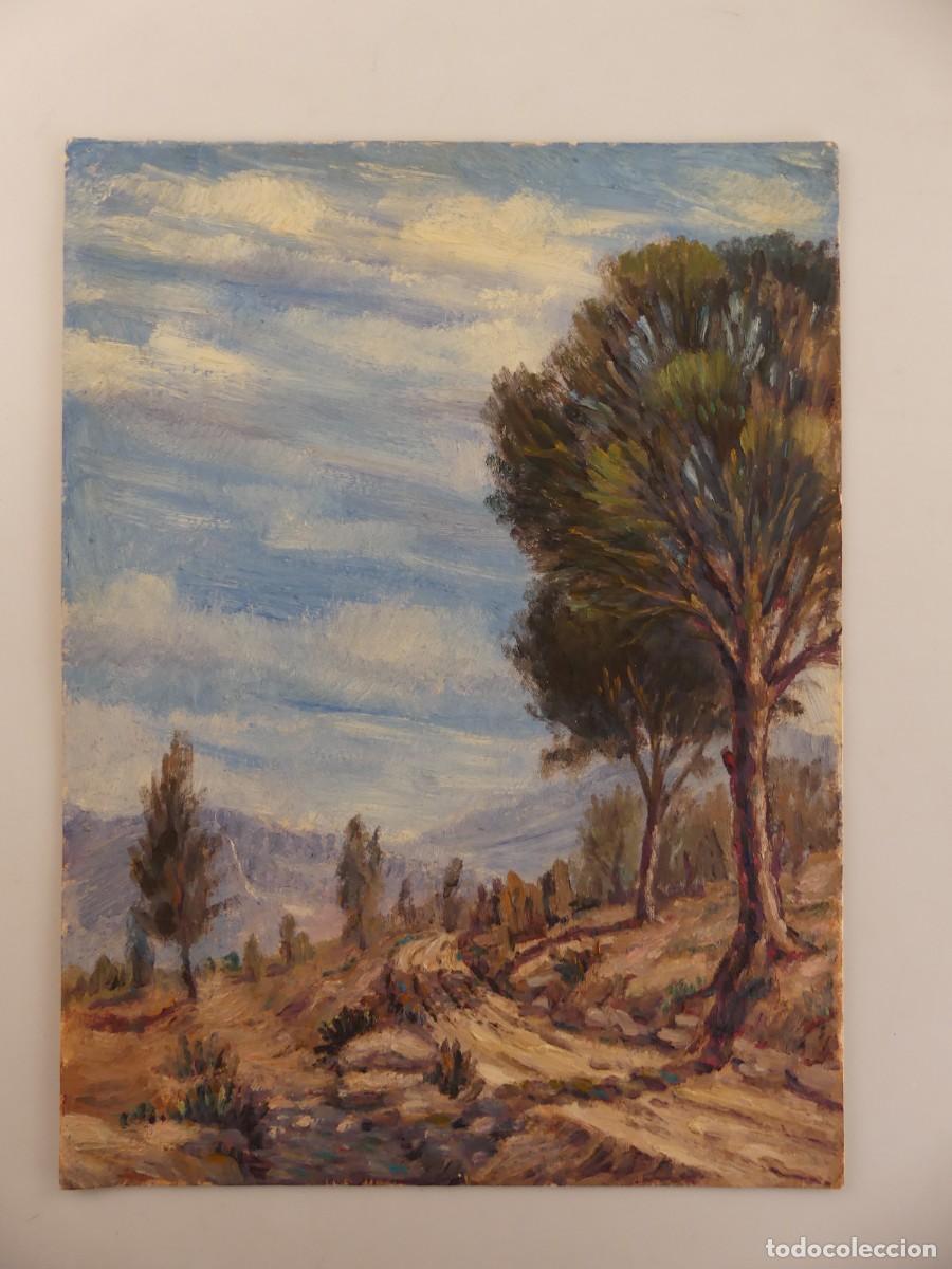 Arte: BONITA PINTURA DE OLEO &ndash; VISTA DEL BOSQUE