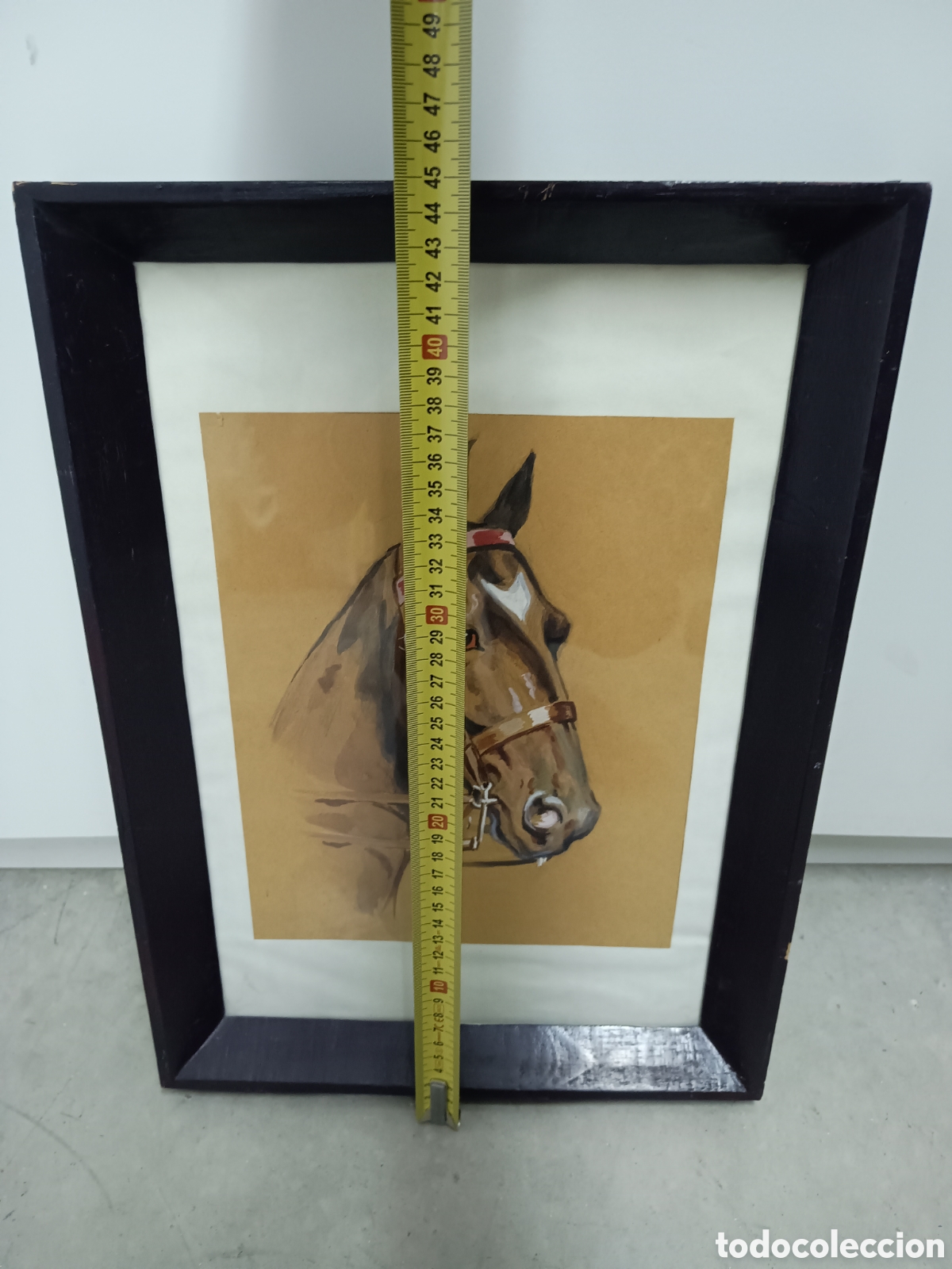 Arte: ACUARELA - CABEZA DE CABALLO - Foto 3
