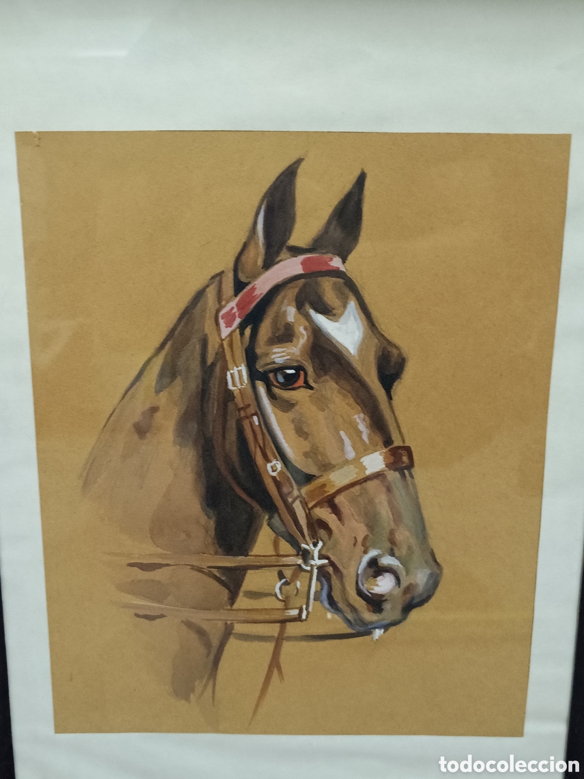 Arte: ACUARELA - CABEZA DE CABALLO