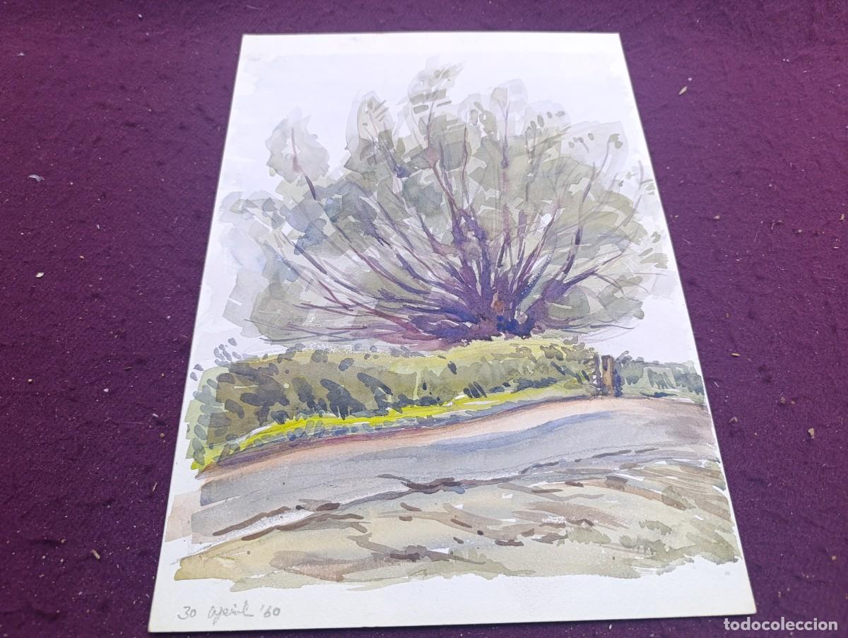 Art: Obra Original, Acuarela, 1950&acute;s - 60&acute;s, Camino Rural, unos 36 x 25 cms.