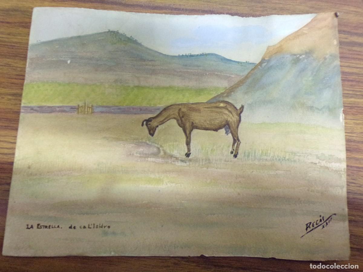 Arte: LIQUIDANDO. dibujo acuarelas. paisaje de campo, con cabra. firma: Reg&aacute;s. la estrella de ca l'isidro