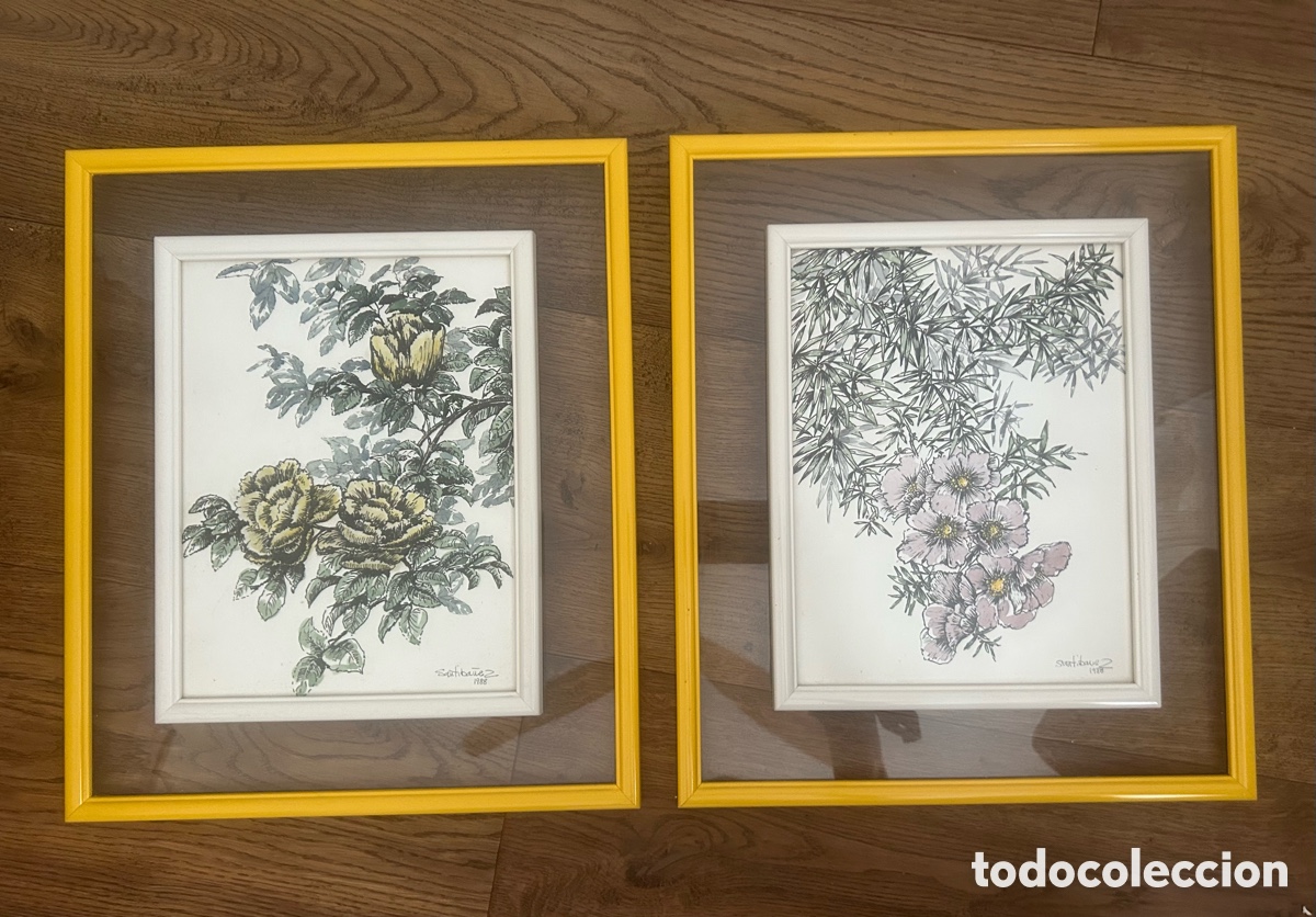 Arte: Pareja de Acuarelas Bot&aacute;nicas Originales de Eladio Garc&iacute;a de Santib&aacute;&ntilde;ez (1988). Firmadas.