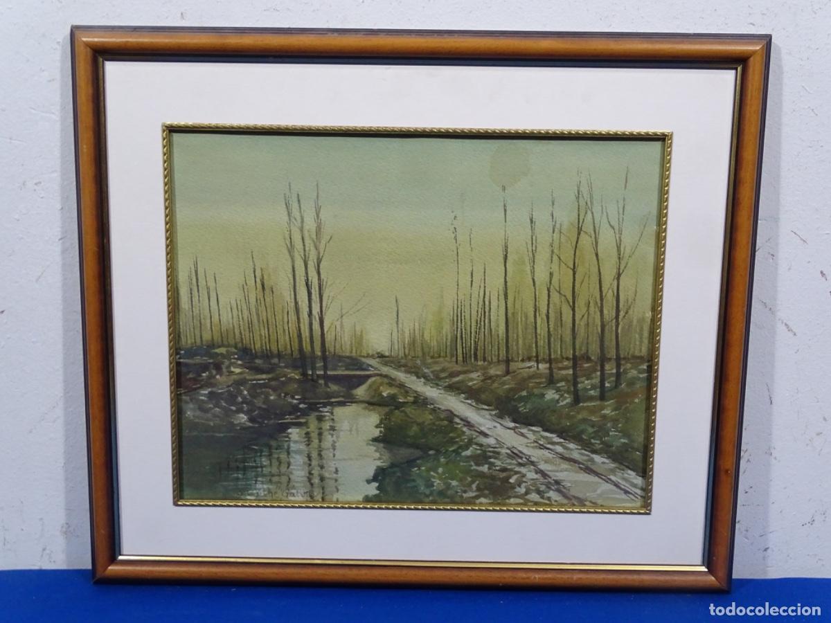 Arte: ACUARELA J. ROCHE G&Aacute;LVEZ. PAISAJE R&Iacute;O.