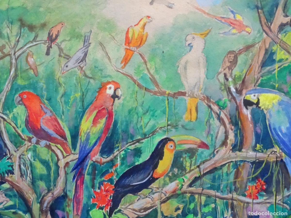 Arte: ACUARELA AN&Oacute;NIMA DE GRAN DETALLE. ANIMALES DE LA SELVA.