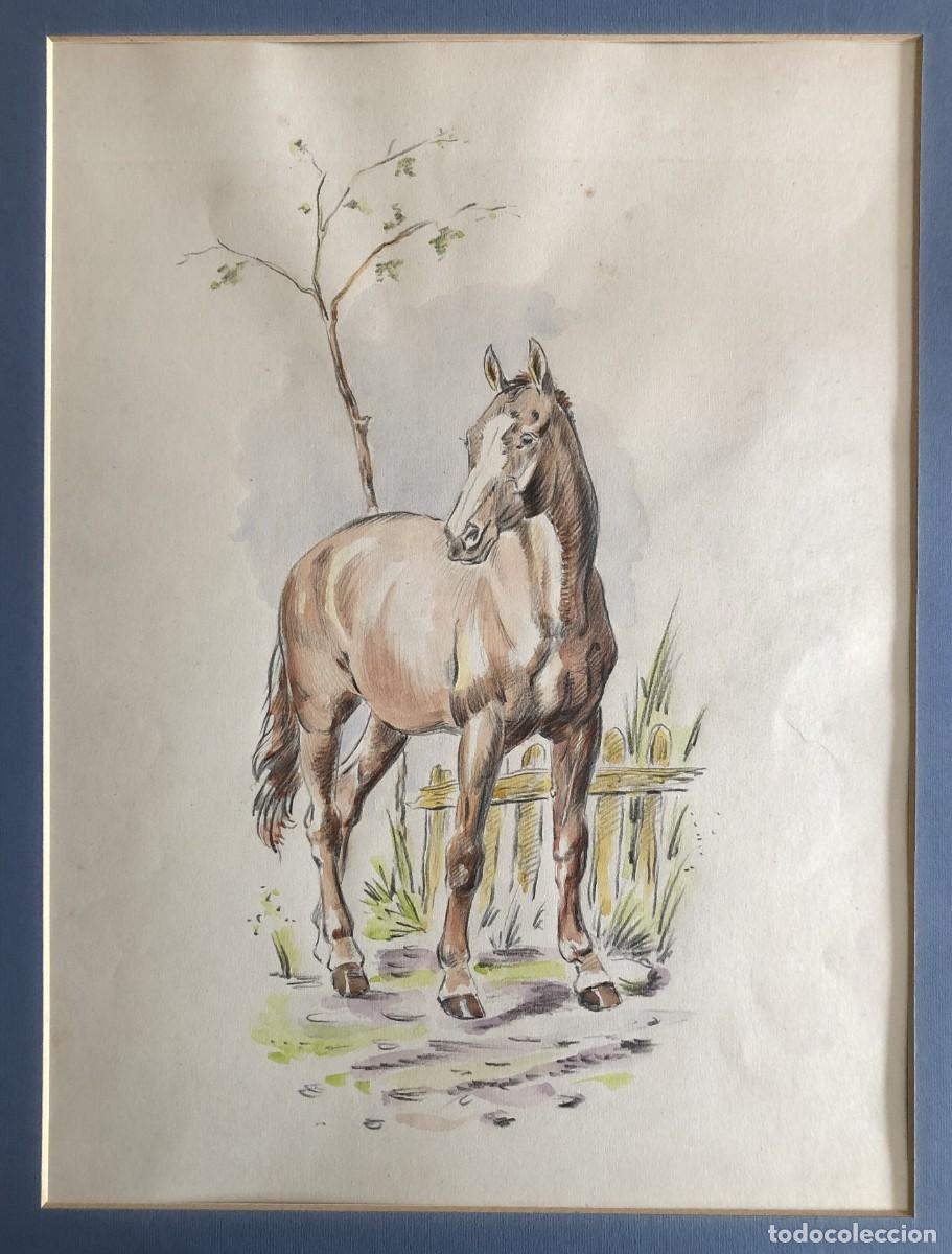 Kunst: Caballo - Dibujo Original de 1950's