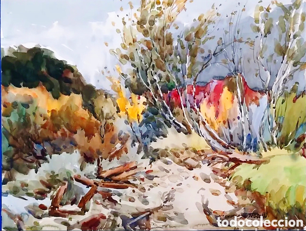 Arte: ACUARELA DE JUNCOSA ROSELL&Oacute; (REUS TARRAGONA 1944)