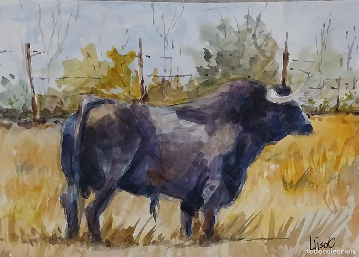 Arte: Acuarela original de autor.Taurina.