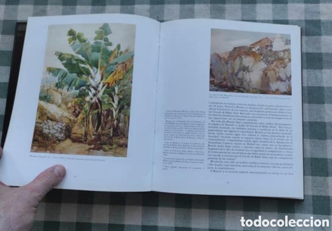 Arte: pack cuadro Bonnin Miranda + libro Francisco Bonnin - Foto 5
