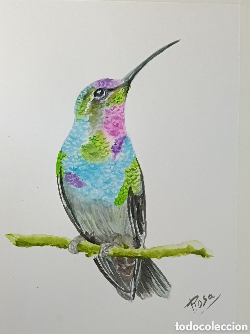 Arte: Acuarela. Colibr&iacute; , ave multicolor