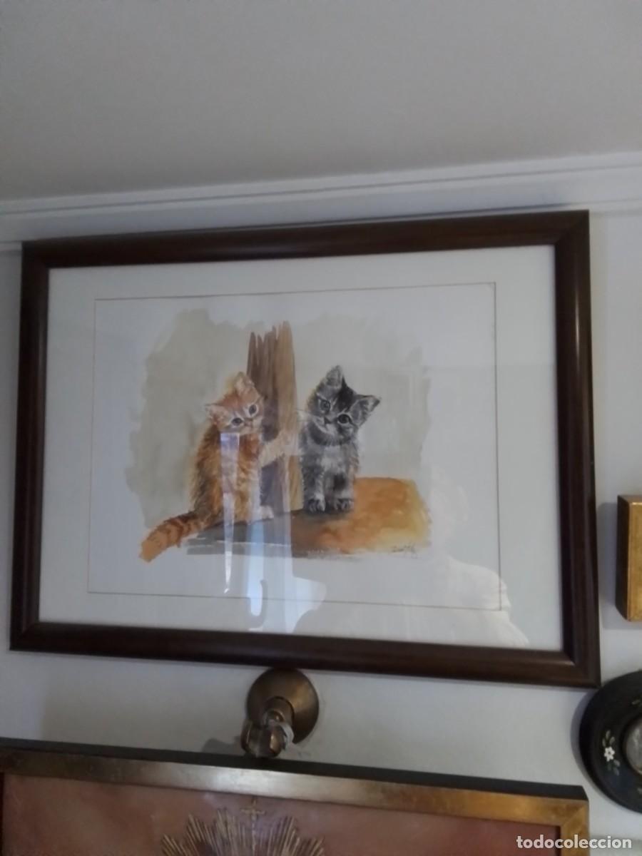 Arte: Acuarela de gatos firmada