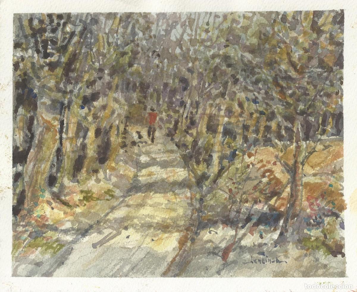 Arte: Carlos Enrique Lencinas Gómez. Acuarela sobre papel. ”Camino y arboleda”. Firmada a mano.