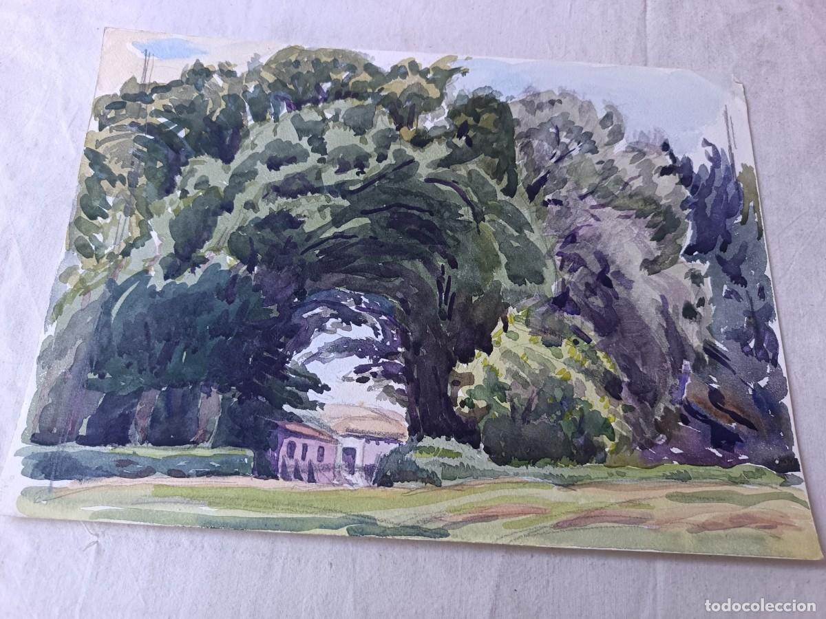 Kunst: Obra Original, acuarela, escena rural con entrada a casas