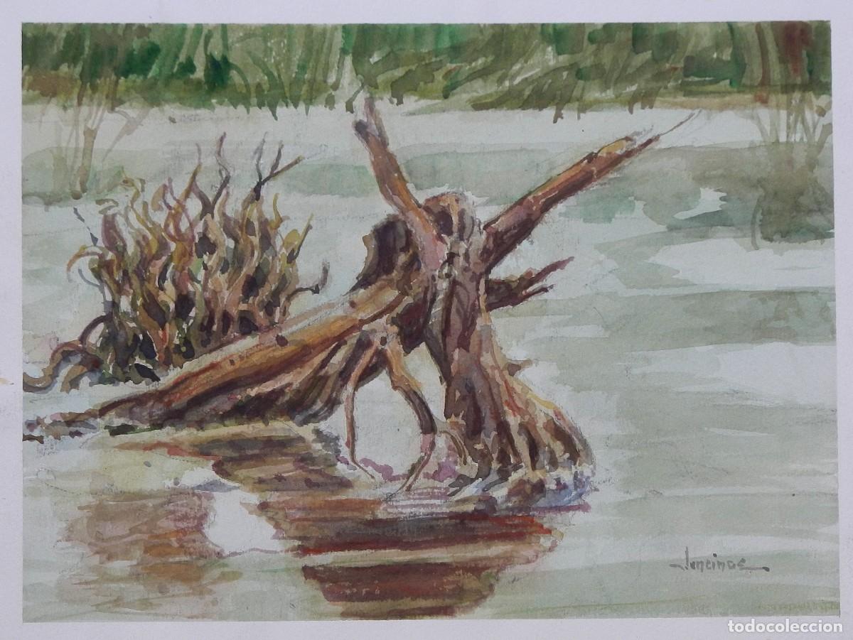 Arte: Carlos Enrique Lencinas G&oacute;mez. Acuarela sobre papel. &rdquo;Tronco de &aacute;rbol en el r&iacute;o&rdquo;. Firmada a mano.