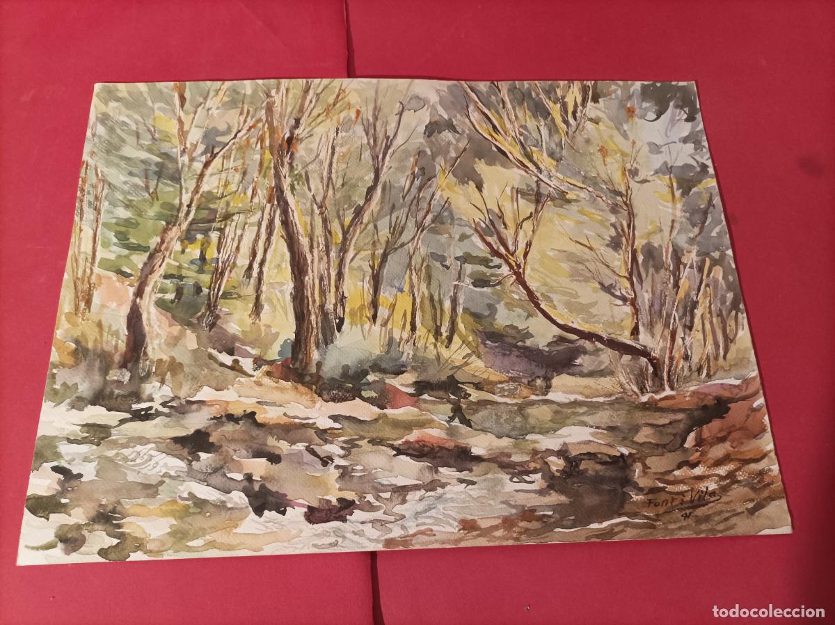 Arte: Montseny. Acuarela firmada Font Vila. A&ntilde;o 1991