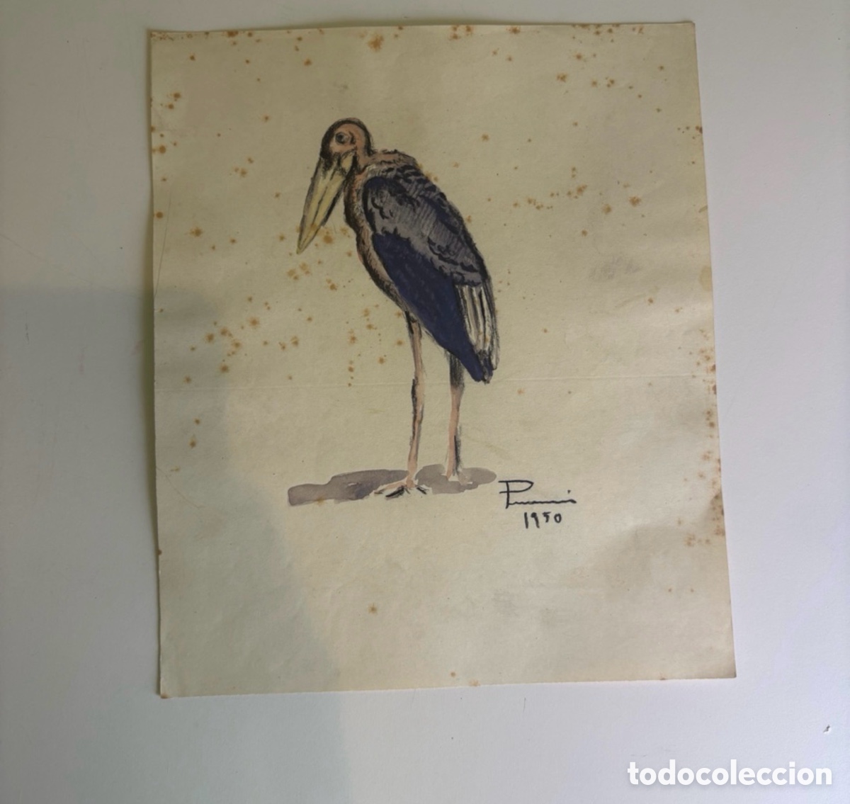 Kunst: Carles Prun&eacute;s (1937-2017) &ndash; Acuarela y tinta sobre papel, Estudio de cig&uuml;e&ntilde;a, firmado 1950