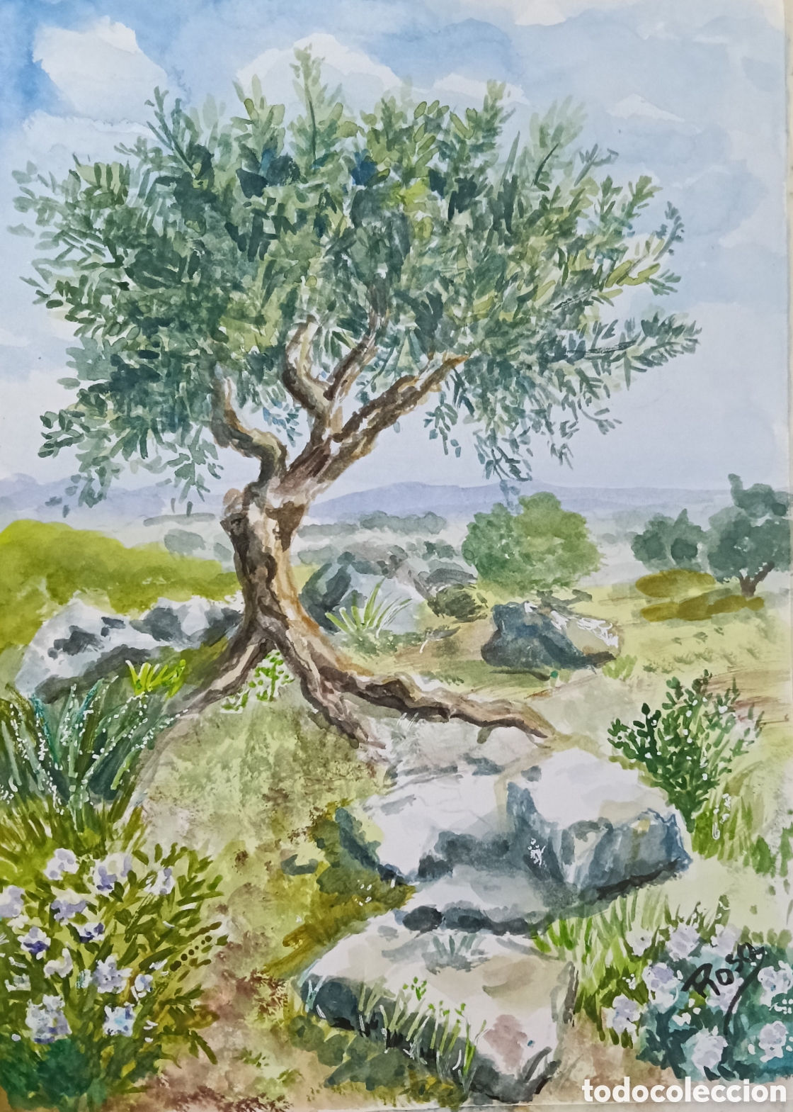 Arte: Acuarela. Olivo en paisaje de sierra