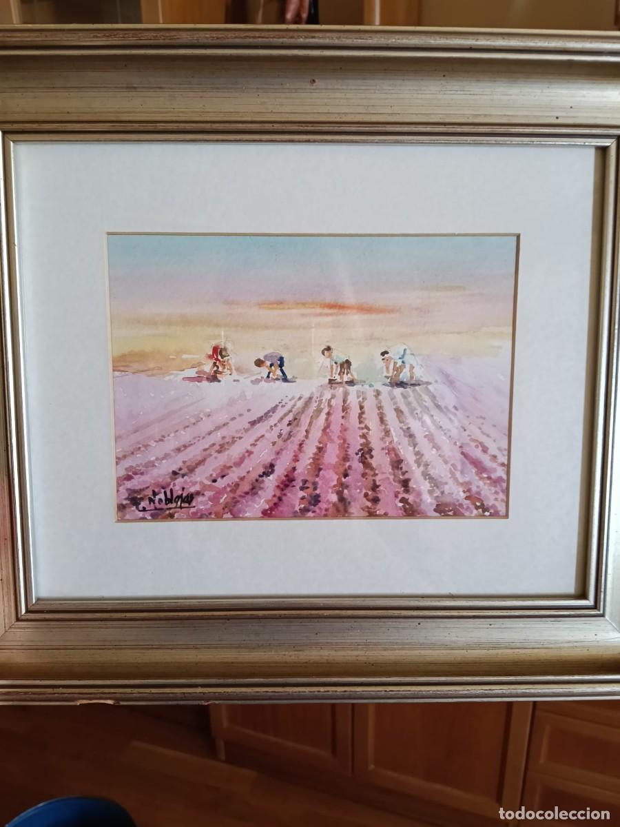 Arte: Preciosa acuarela de campo de lavanda