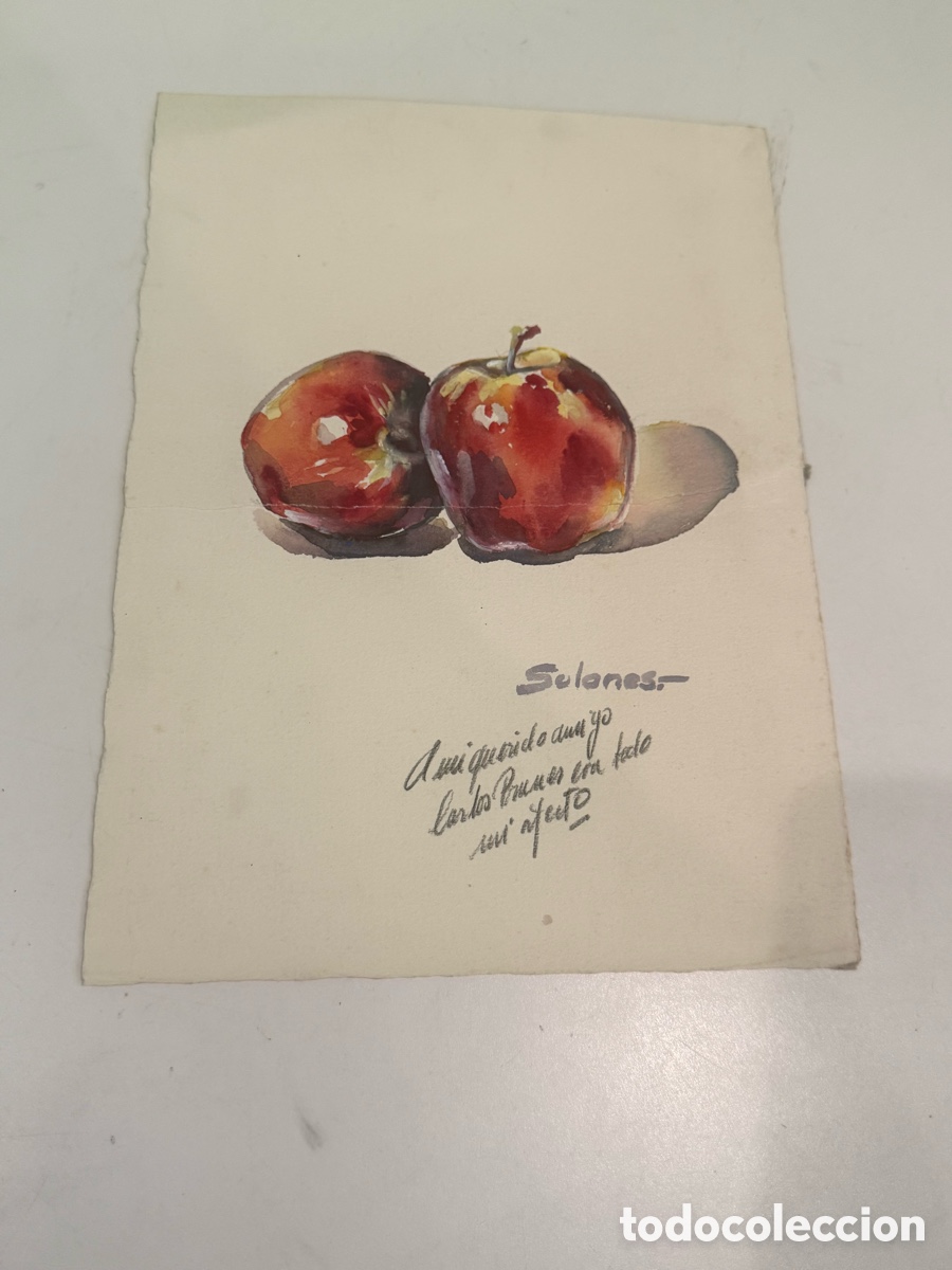 Arte: Acuarela de bodeg&oacute;n con manzanas sobre papel. Firma a identificar. Dedicada a Carles Prun&eacute;s.