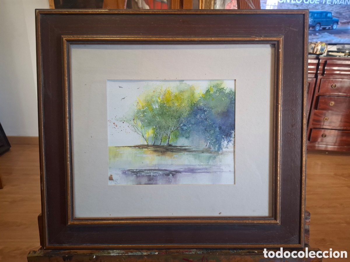 Arte: Bonita acuarela de rodrigo baez 51x46
