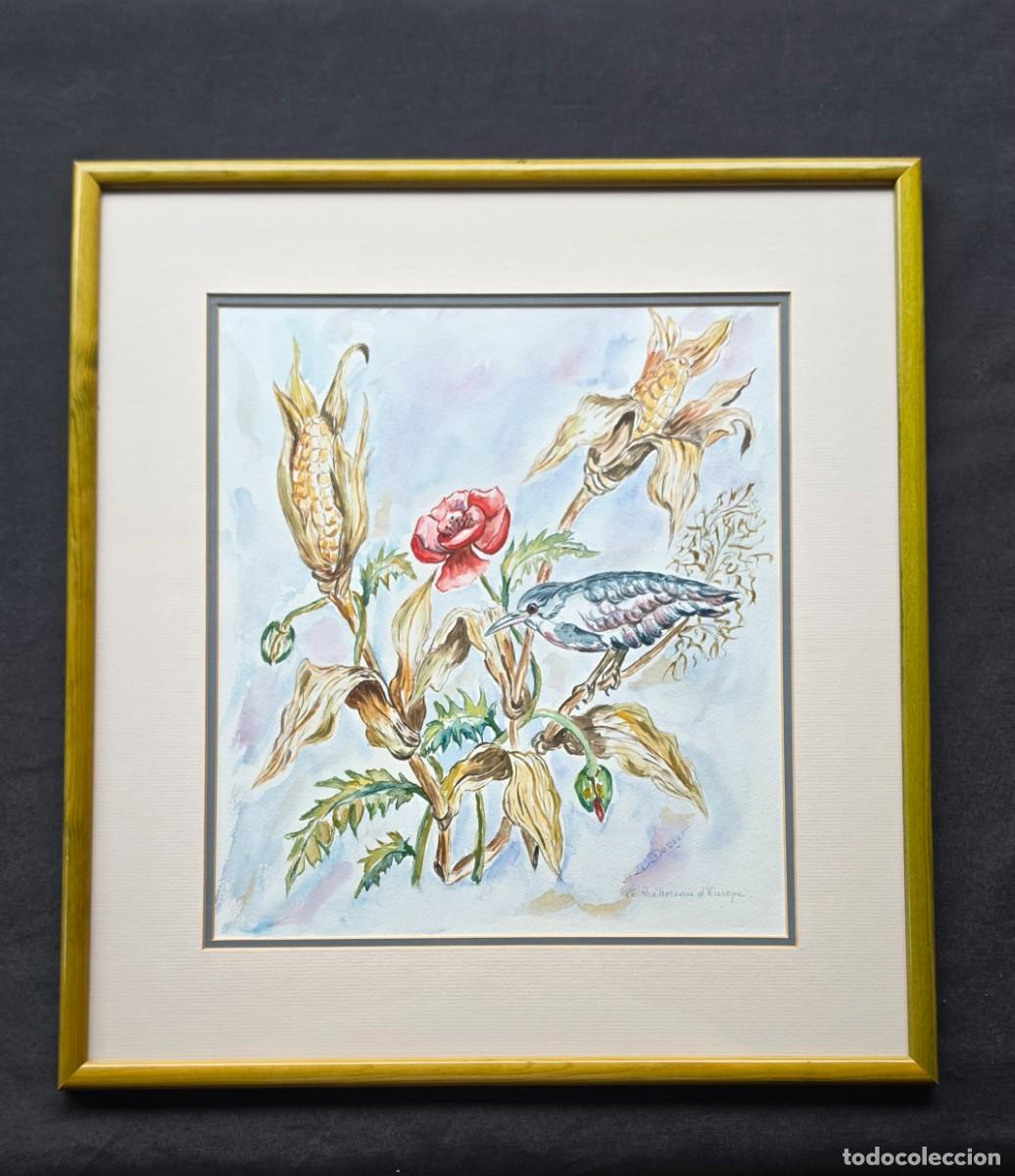 Arte: Cuadro Acuarela Original &rdquo;Le Bihoreau d'Europe&rdquo; (52,5x48,5 cm) - Ilustraci&oacute;n Ornitol&oacute;gica Firmada D.