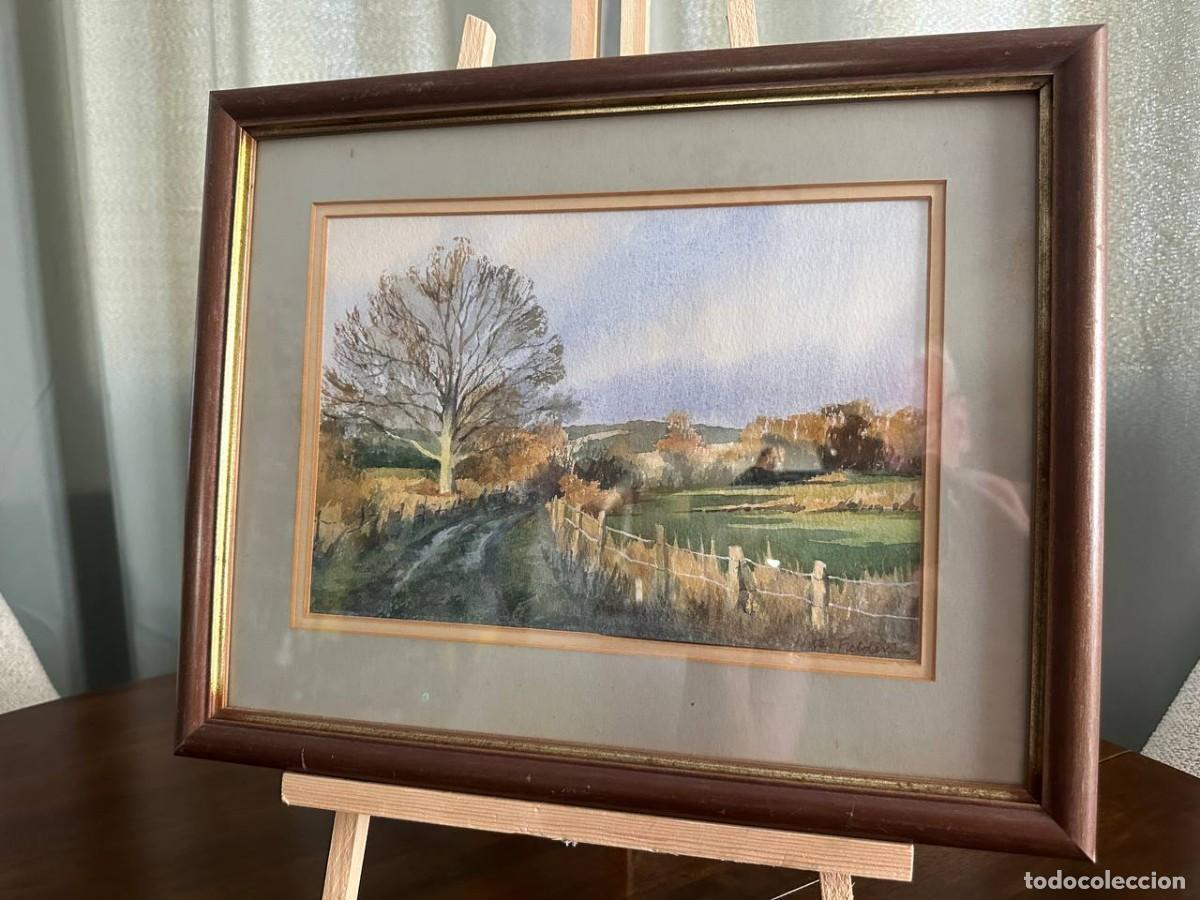 Arte: ACUARELA ORIGINAL INGLESA - PAISAJE DE SUSSEX 1988 - FIRMADA NITA FIELDER