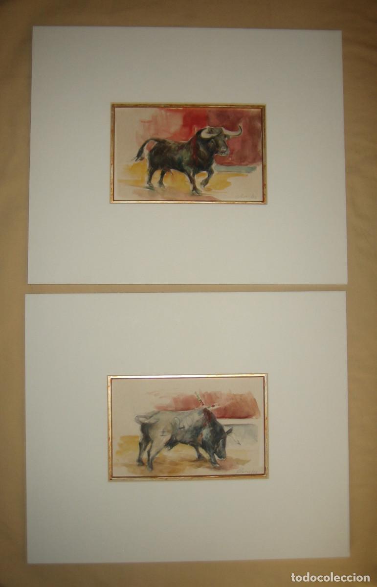 Arte: PAREJA DE ACUARELAS. DOS TOROS. DEL PINTOR MURCIANO PEPE CLAROS. A&Ntilde;O 1992..... CON DESCUENTO DEL 50%