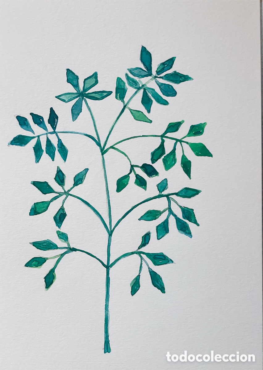 Arte: Planta 2026. Acuarela original 21 x 14,5cm