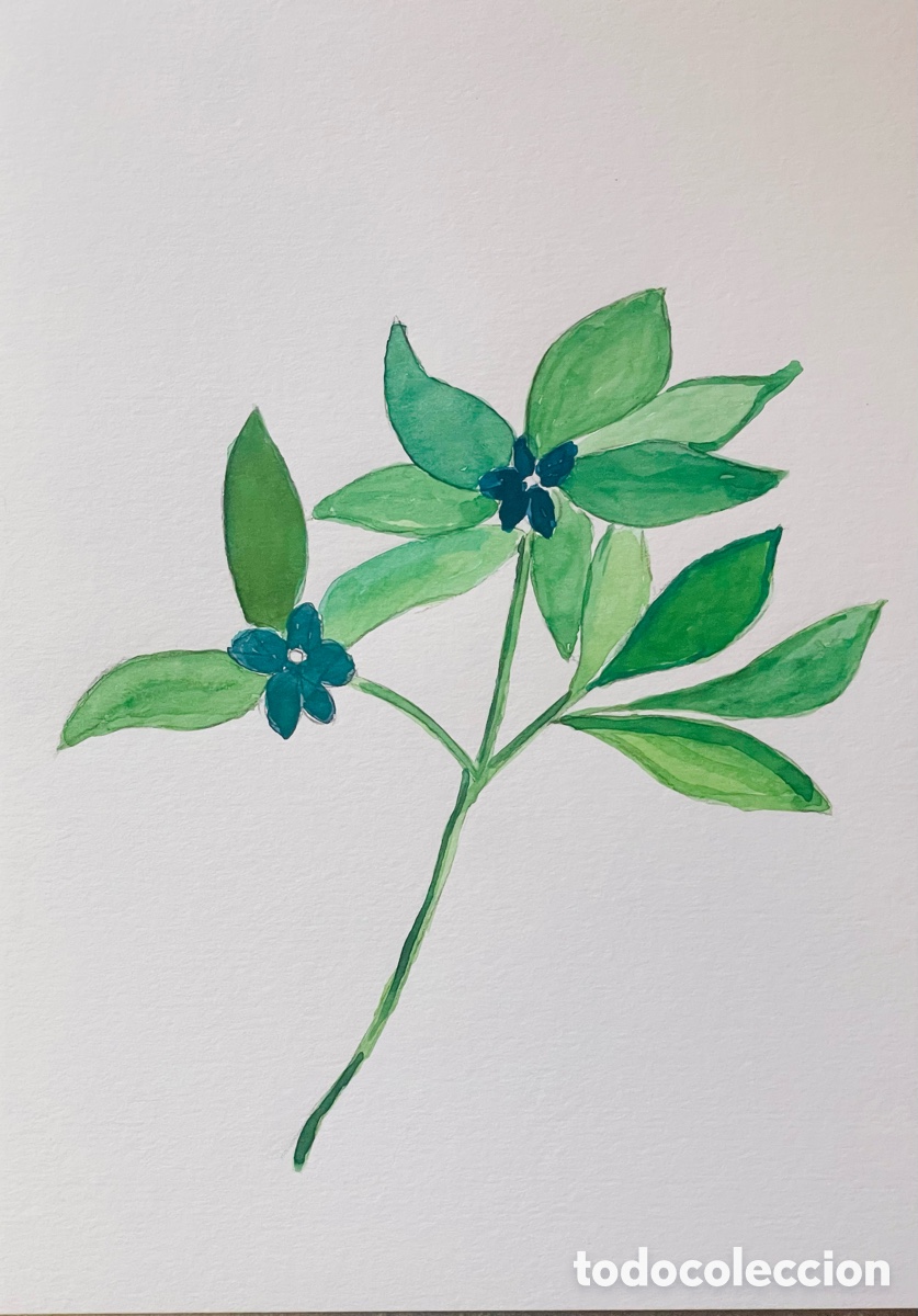 Arte: Planta amb flor 2026. Acuarela