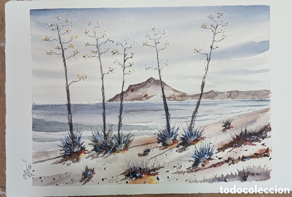 Arte: Acuarela Original Genoveses Cabo de Gata