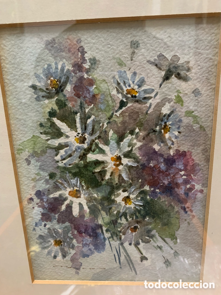 Arte: Torras, acuarelista de Sabadell, flores, 14x19,5 obra y 26x32 con marco