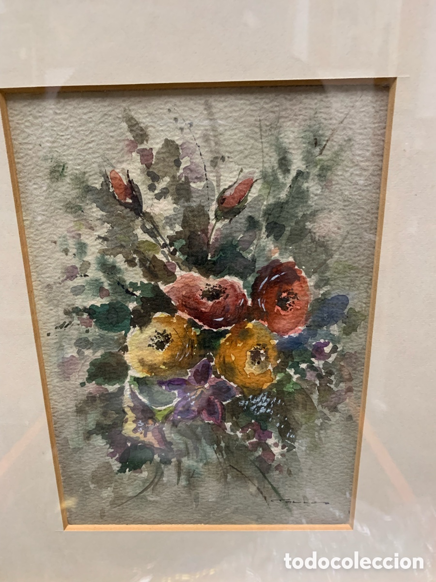 Arte: Torras, acuarelista de Sabadell, flores, 14x19,5 obra y 26x32 con marco