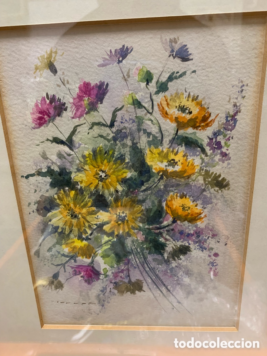 Arte: Torras, acuarelista de Sabadell, flores, 14x19,5 obra y 26x32 con marco