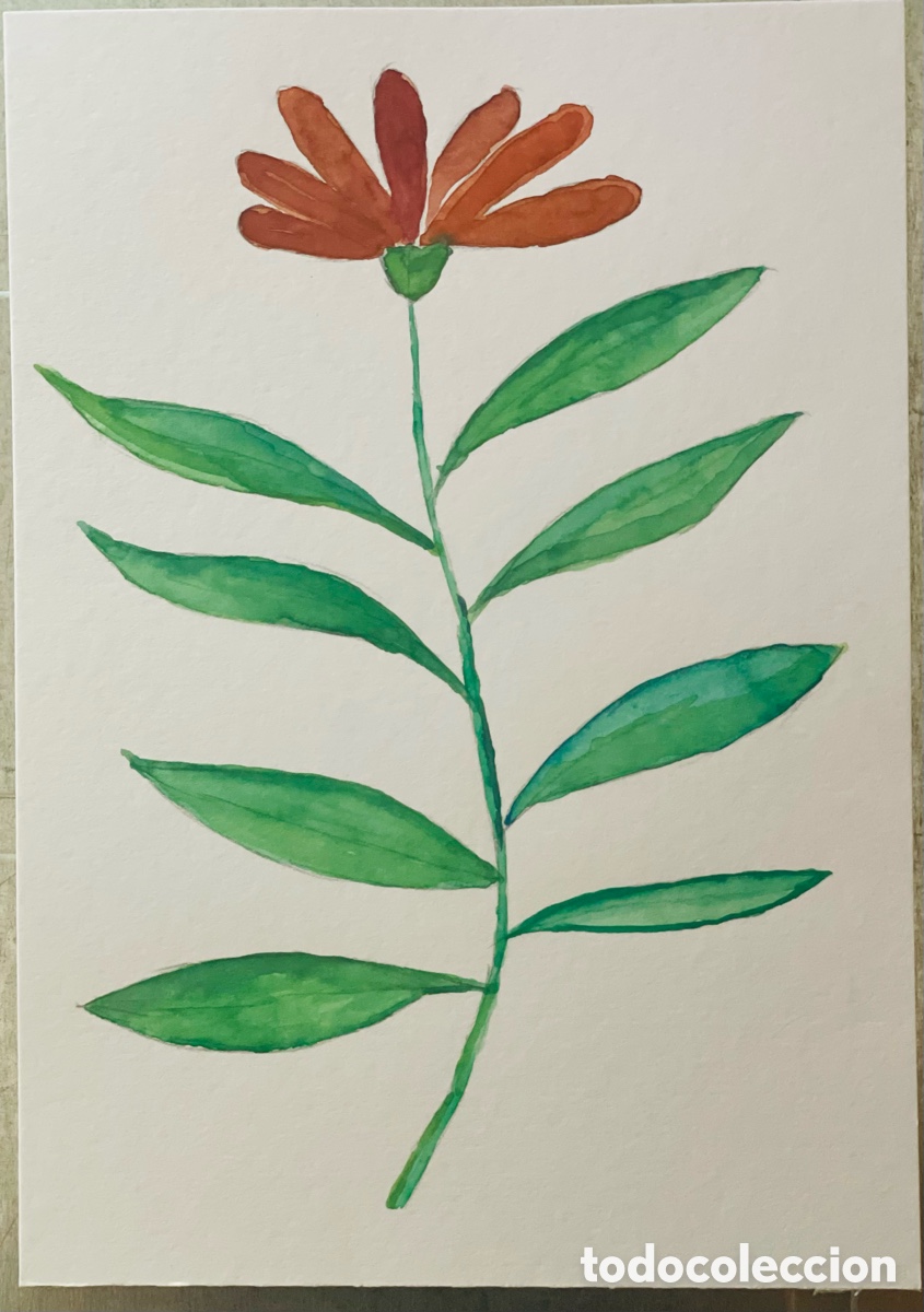 Arte: Flor Vermella. Acuarela original. 2009 21 x 14 cm