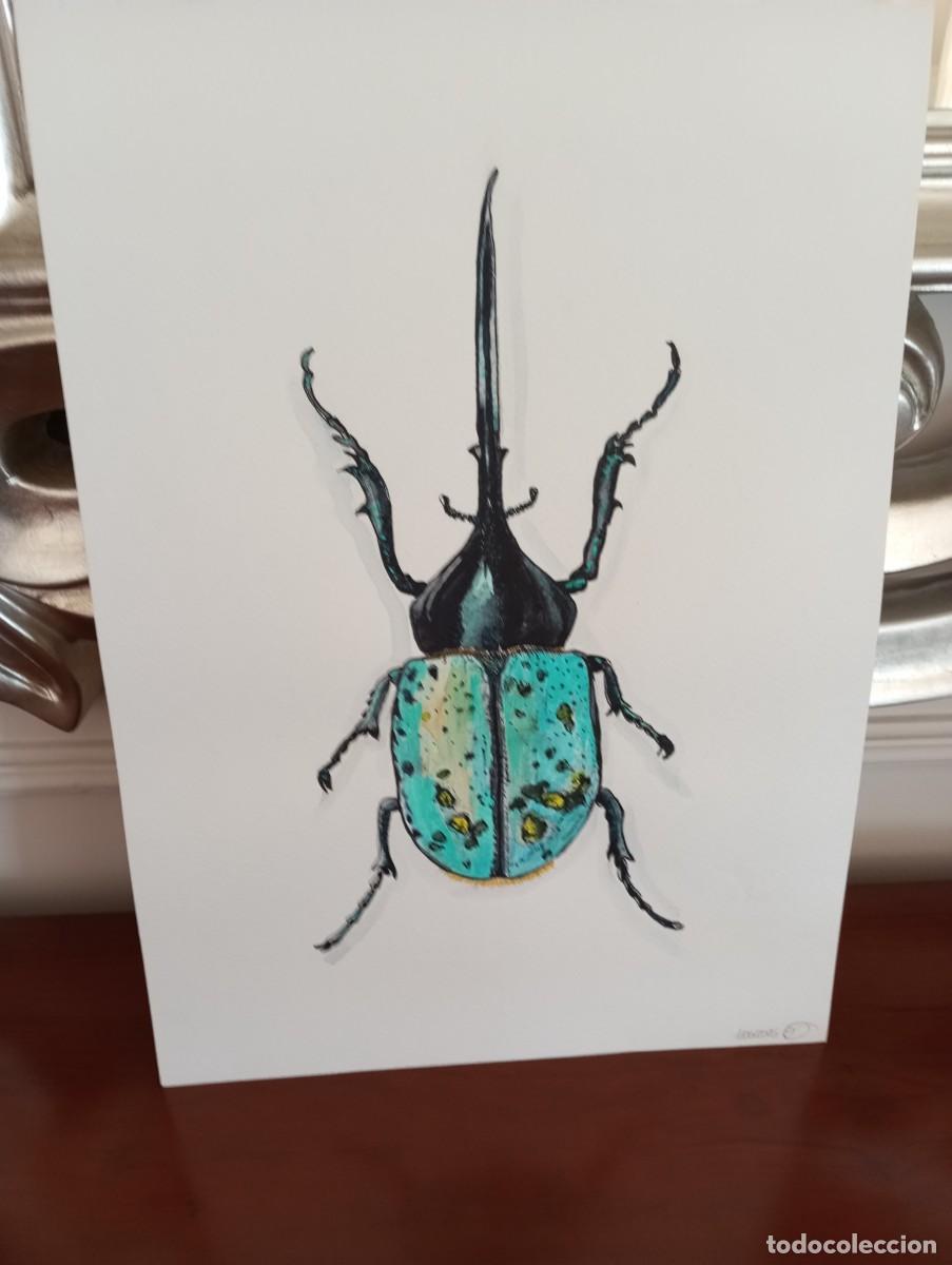 Arte: MACHO DE ESCARABAJO H&Eacute;RCULES AZUL