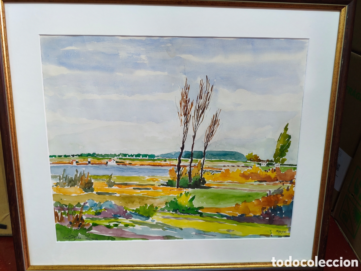 Arte: Acuarela Original Manuel Hoyos (M. Hoyos) - Paisaje De Castronu&ntilde;o (Valladolid) - 1976. Enmarcada