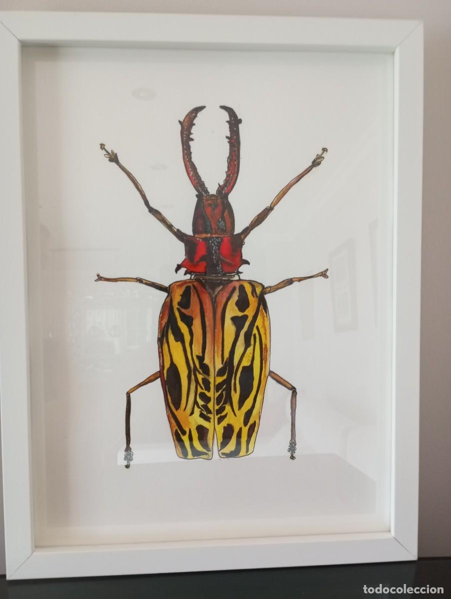 Arte: Acuarela original de escarabajo.