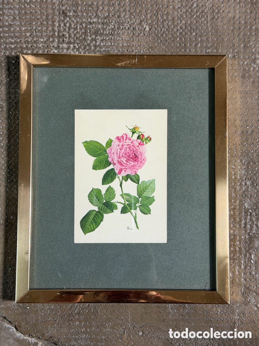 Arte: Acuarela de Flores Enmacada - Foto 2