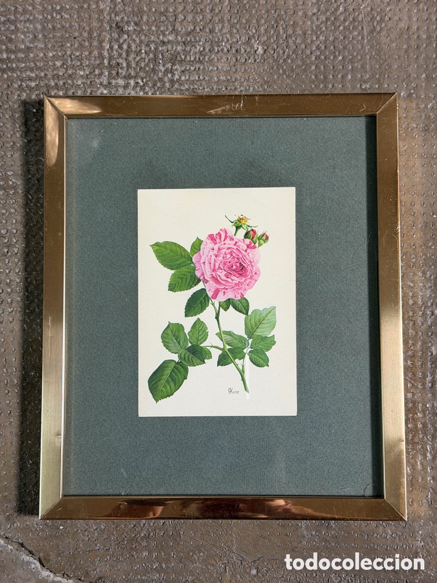 Arte: Acuarela de Flores Enmacada - Foto 5