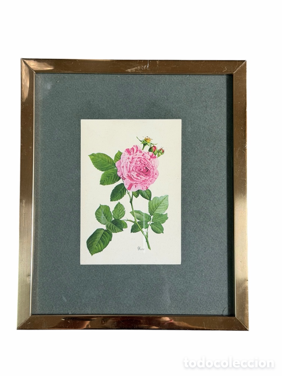 Arte: Acuarela de Flores Enmacada