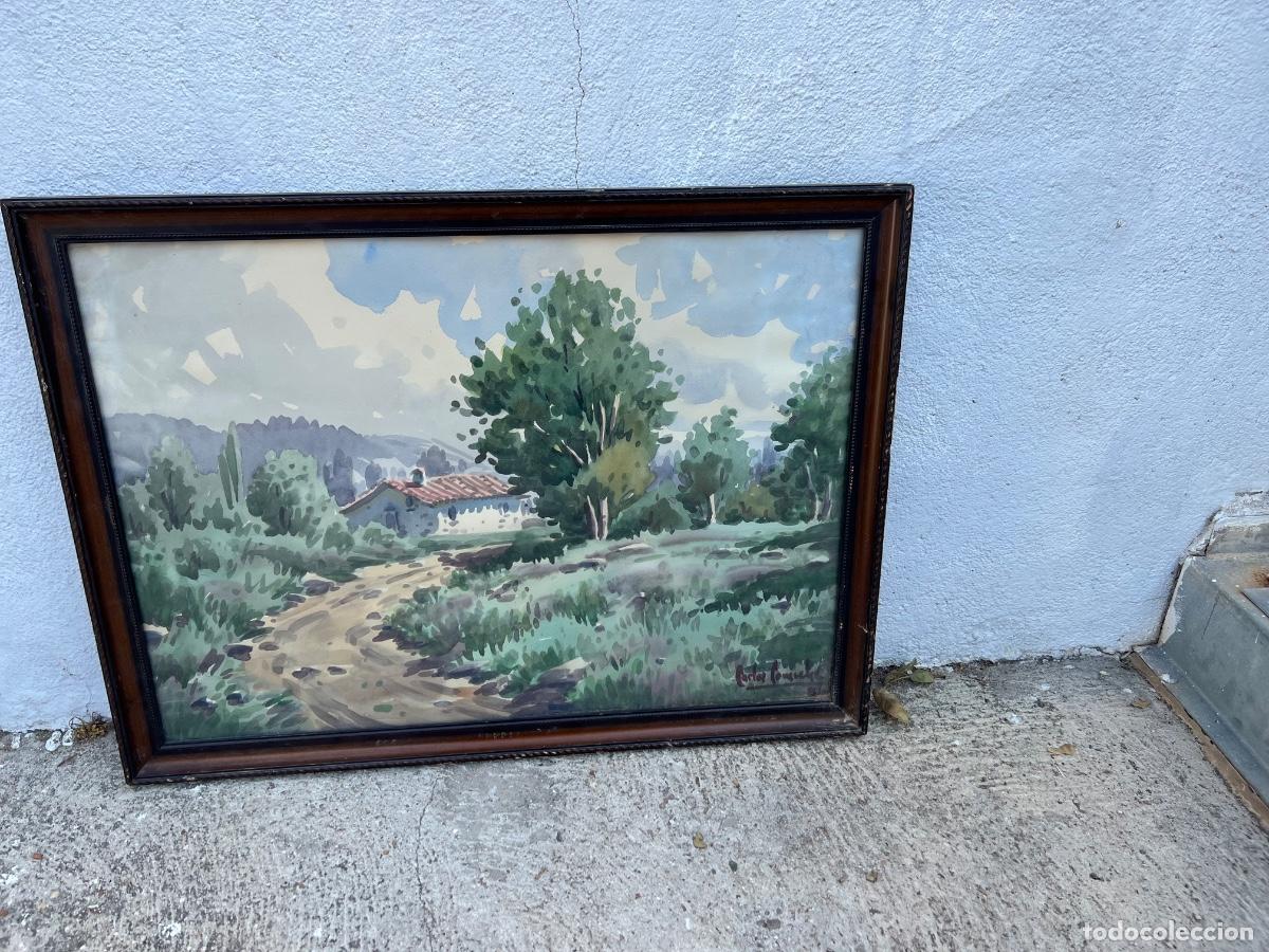 Arte: Acuarela paisaje monta&ntilde;a Pa&iacute;s Vasco Cantabria 1981 Carlos goyeneche 59x71cms